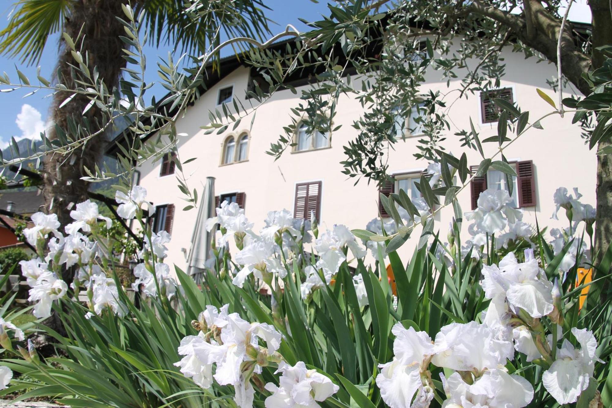 Hotel Garni Brunnenhof Caldaro Esterno foto